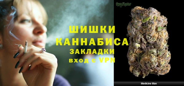 стафф Няндома