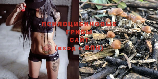 кокаин колумбия Новозыбков