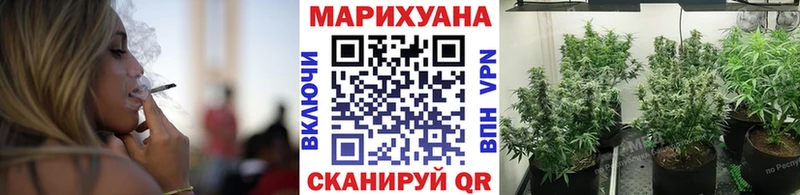 Каннабис Bruce Banner  где купить   Бирюч 